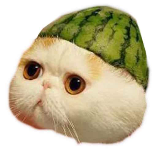 🍉 Стикер «RyoDelRio - Autres» для Telegram