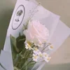 🐻 Эмодзи «Рюджин» для Telegram