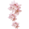 🍥 Эмодзи «pink flora» для Telegram
