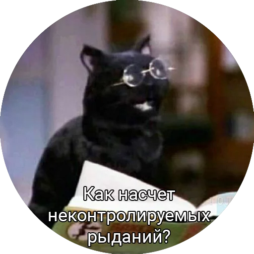Стикерпак Кот Салем для Telegram — скачать