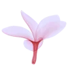 🤩 Эмодзи «sacura» для Telegram