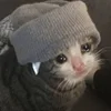 🥶 Эмодзи «sadcatemoji» для Telegram