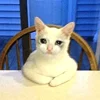 🥺 Эмодзи «sadcatemoji» для Telegram