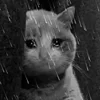 🥺 Эмодзи «sadcatemoji» для Telegram