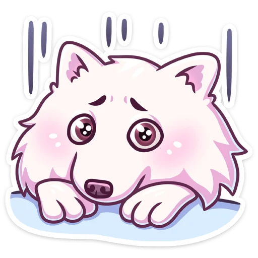 🥺 Стикер «Самми без надписей» для Telegram