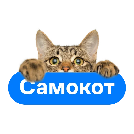 Стикерпак СамоКот для Telegram — скачать