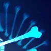 🌟 Эмодзи «Sans the skeleton» для Telegram
