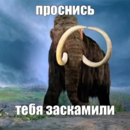 🦣 Стикер «Мамонты» для Telegram