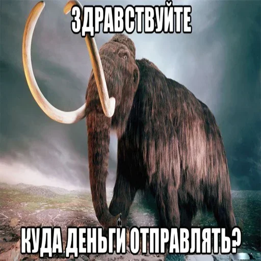 Стикерпак Мамонты для Telegram — скачать