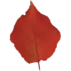🍁 Эмодзи «🛎 Школьные эмоджи» для Telegram