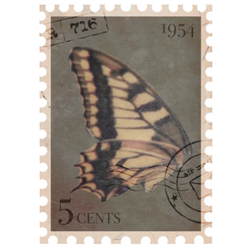 🎞️ Стикер «Scrapbooking» для Telegram