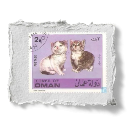 🐈‍⬛ Стикер «Scrapbooking» для Telegram