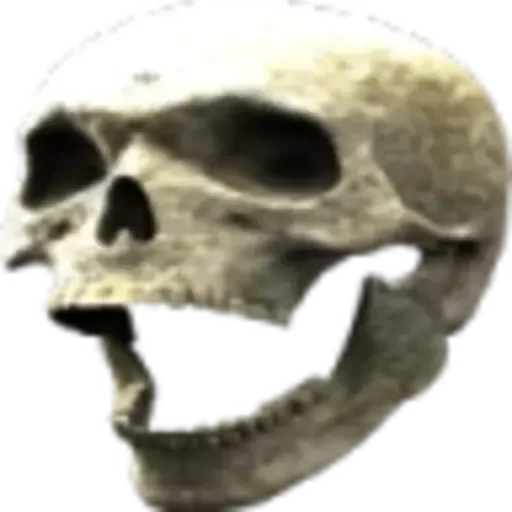 Стикерпак Skulls для Telegram