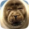 🦭 Эмодзи «Seal» для Telegram