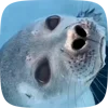 🦭 Эмодзи «Seal» для Telegram