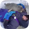 🦭 Эмодзи «Seal» для Telegram