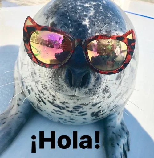 👋 Стикер «seals4life» для Telegram