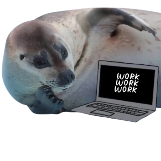 👨‍💻 Стикер «seals4life» для Telegram