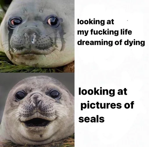 ❣️ Стикер «seals4life» для Telegram