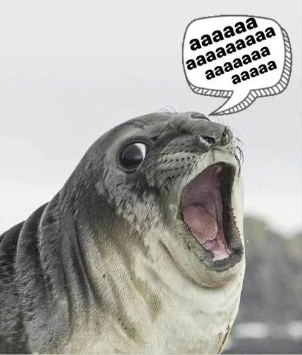 😵‍💫 Стикер «seals4life» для Telegram