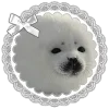 🤩 Эмодзи «SEALS font» для Telegram