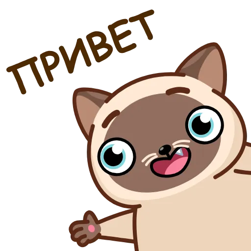 Стикерпак Сиамский кот для Telegram — скачать