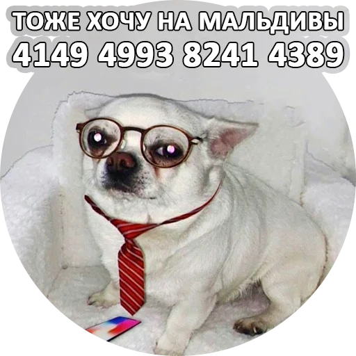 Стикерпак SebekBandit для Telegram — скачать