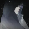 🍷 Эмодзи «Secretive Plotter» для Telegram