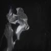 🍷 Эмодзи «Secretive Plotter» для Telegram