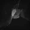 🍷 Эмодзи «Secretive Plotter» для Telegram