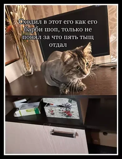😼 Стикер «Semen» для Telegram