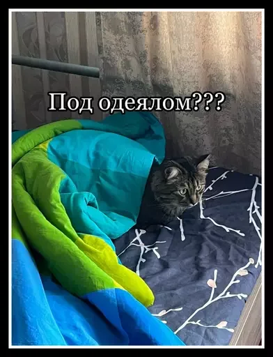 😼 Стикер «Semen» для Telegram