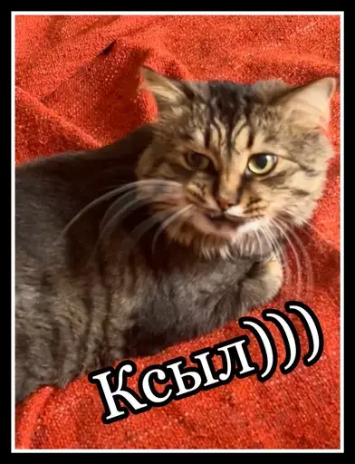 🐀 Стикер «Semen» для Telegram