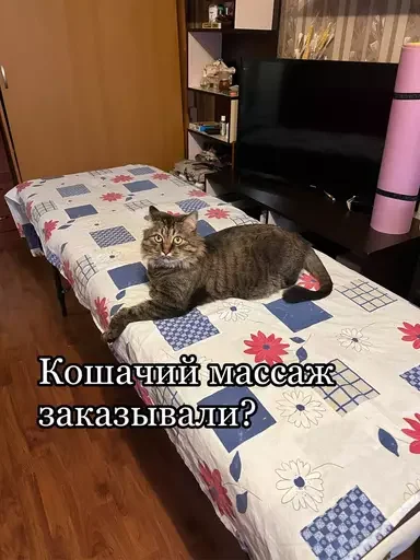 💆‍♂️ Стикер «Semen» для Telegram