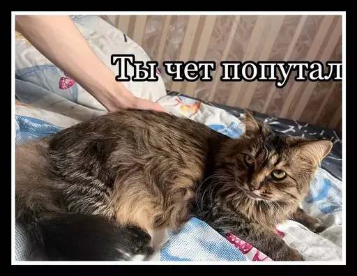 🫤 Стикер «Semen» для Telegram