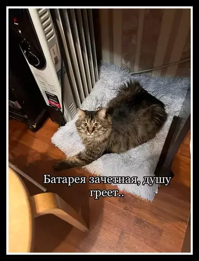 🤠 Стикер «Semen» для Telegram
