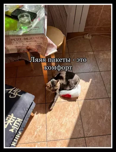 😸 Стикер «Semen» для Telegram