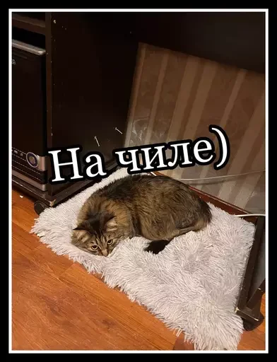 🤗 Стикер «Semen» для Telegram