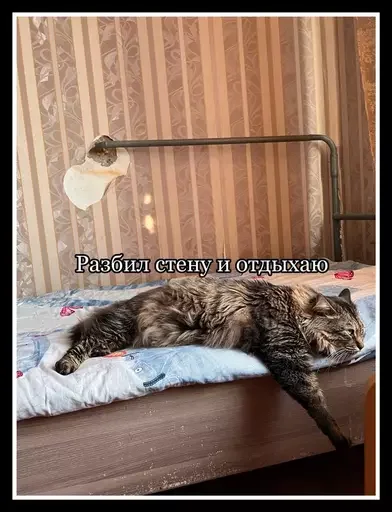 🤪 Стикер «Semen» для Telegram