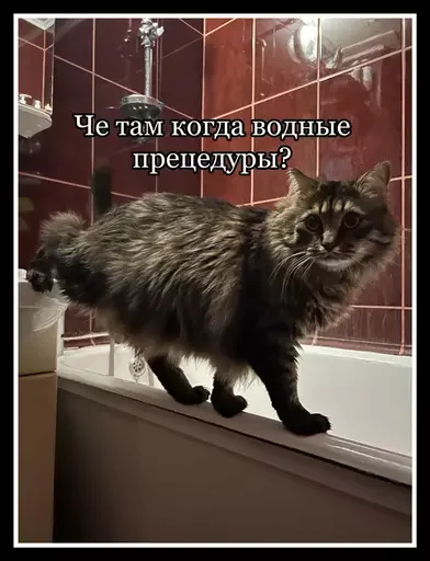 🚿 Стикер «Semen» для Telegram