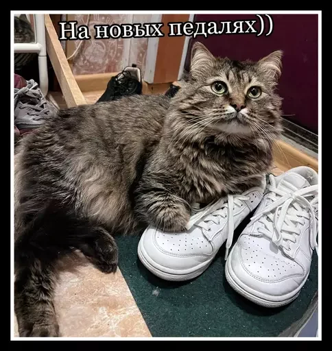 👟 Стикер «Semen» для Telegram