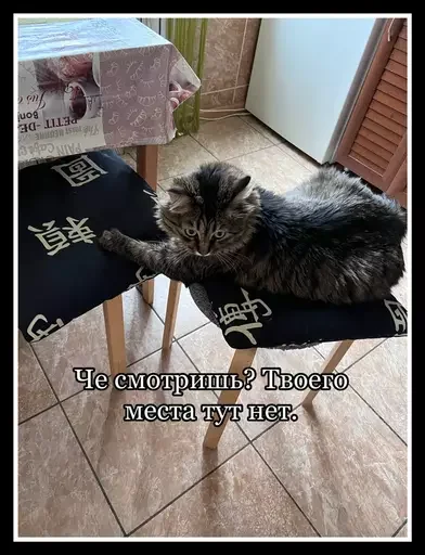 😺 Стикер «Semen» для Telegram