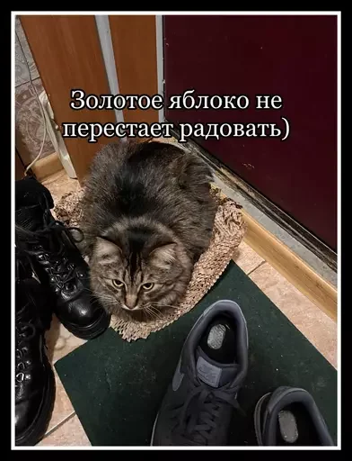 🍎 Стикер «Semen» для Telegram