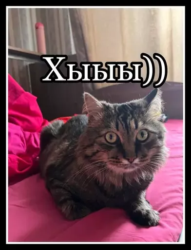 🤡 Стикер «Semen» для Telegram