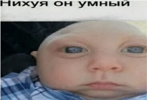 🧠 Стикер «SenkoPack» для Telegram