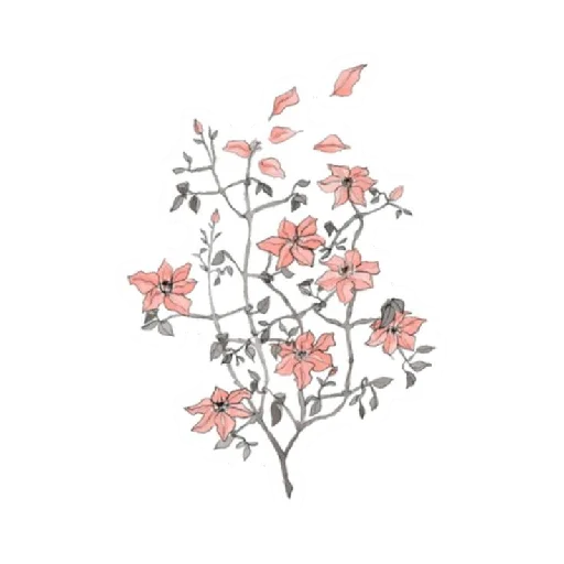 🌺 Стикер «Separadores_Aesthetic» для Telegram