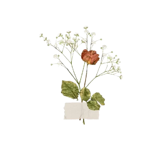 😌 Стикер «Separadores_Aesthetic» для Telegram