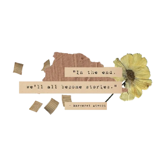 🌼 Стикер «Separadores_Aesthetic» для Telegram