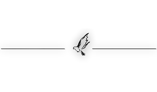 🐧 Стикер «Separator» для Telegram