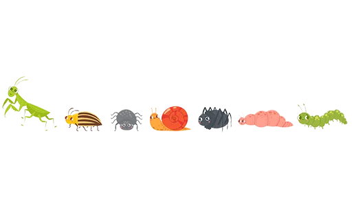 🐛 Стикер «Separator Bird Animal» для Telegram